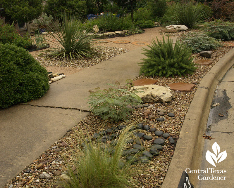 drought tough curb strip austin texas CTG