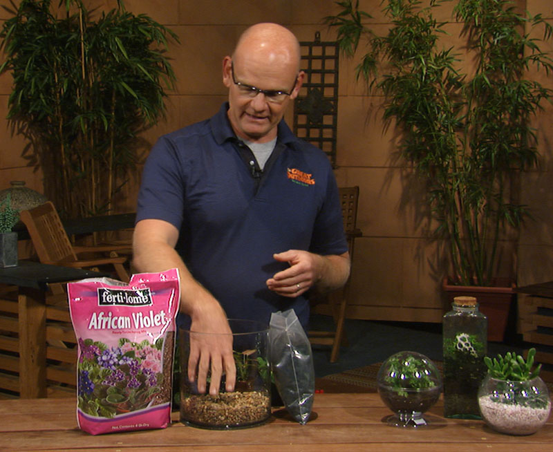 Terrariums with Merrideth Jiles Central Central Gardener 