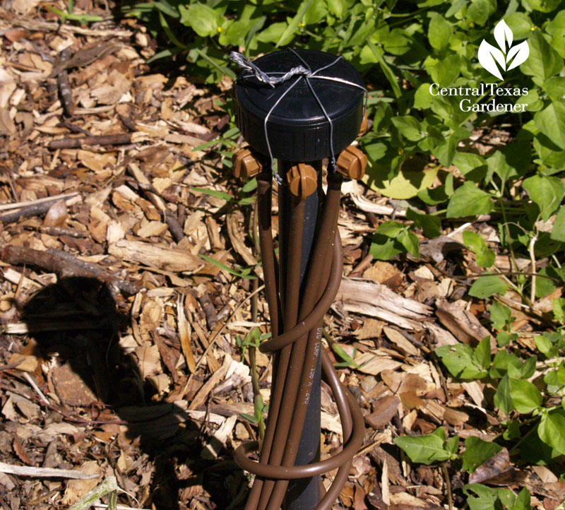 sprinkler head adapted for drip irrigation CTG sprinkler head adapted for drip irrigation CTG