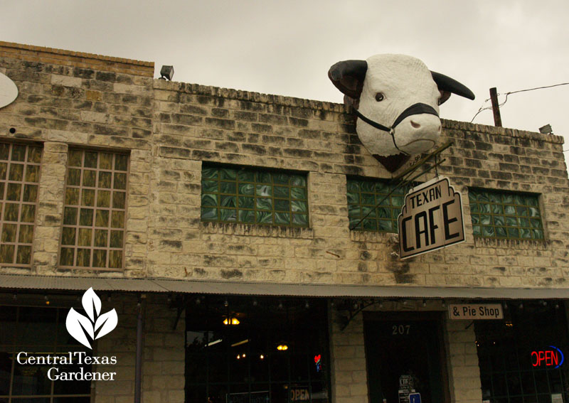 Texan Cafe Hutto Texas Texan Cafe Hutto Texas