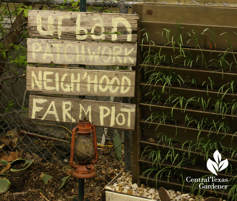 Urban Patchwork Neighborhood Farms 