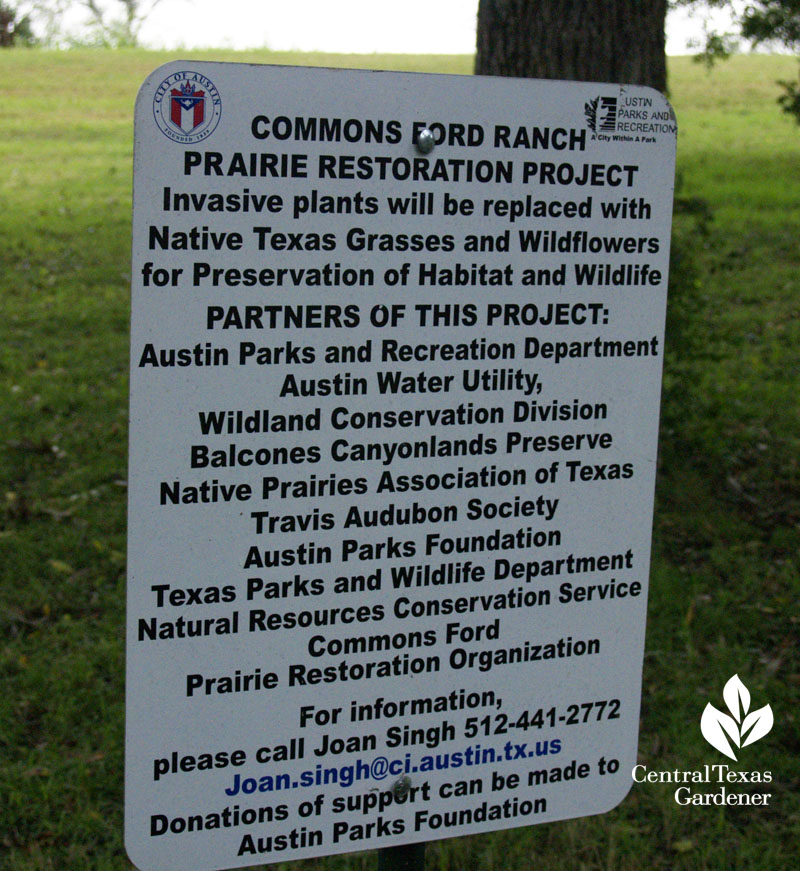 Commons Ford Ranch Prairie Restoration Organization 