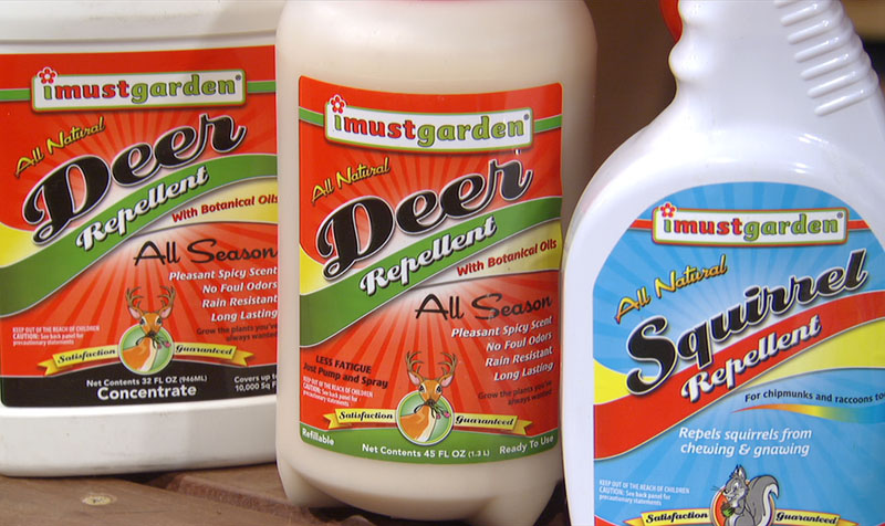 I Must Garden deer and squirrel repellents Trisha Shirey Central Texas Gardener I Must Garden deer and squirrel repellents Trisha Shirey Central Texas Gardener
