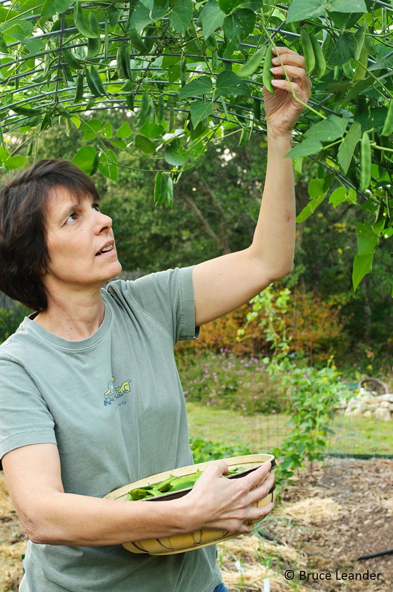 Master Gardener Patty Leander photo by Bruce Leander