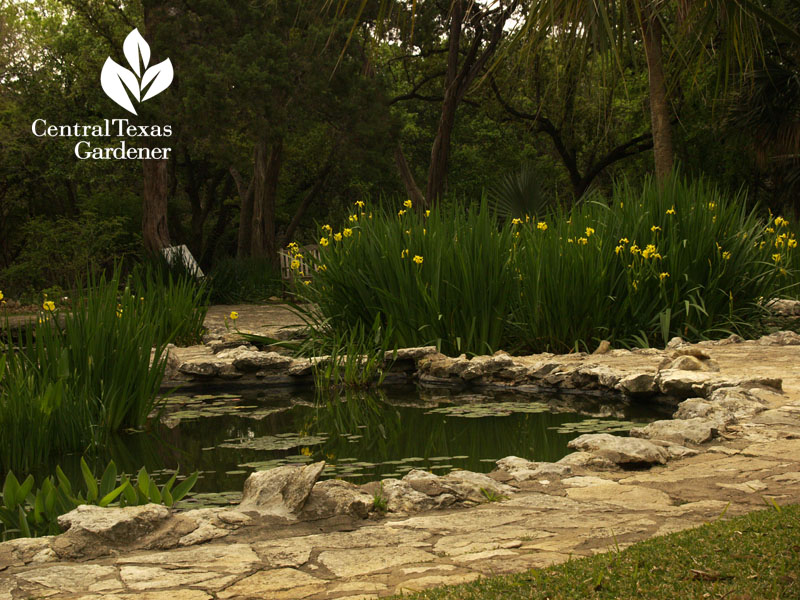 mayfield park pond austin texas 