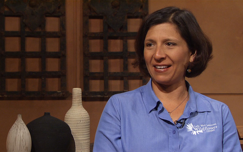 Tom Spencer and Andrea DeLong-Amaya Central Texas Gardener Tom Spencer and Andrea DeLong-Amaya Central Texas Gardener