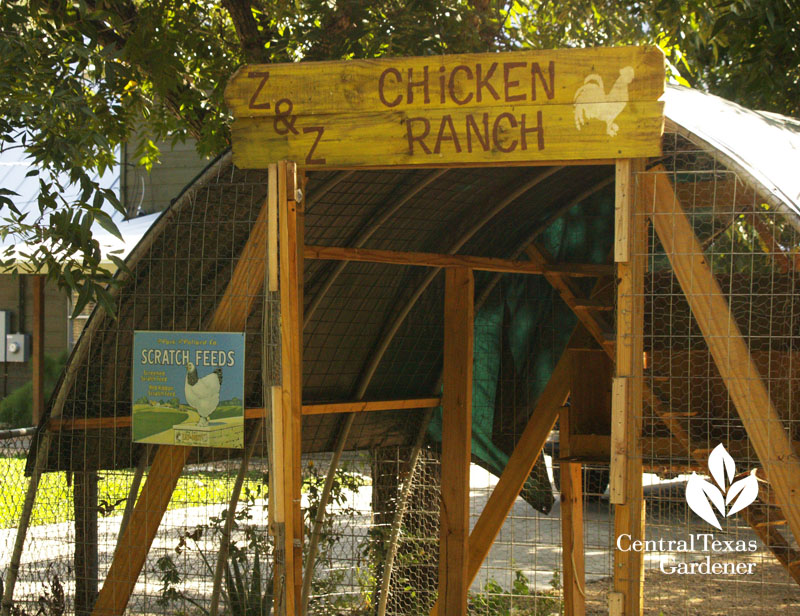 cute chicken coop central texas gardener 