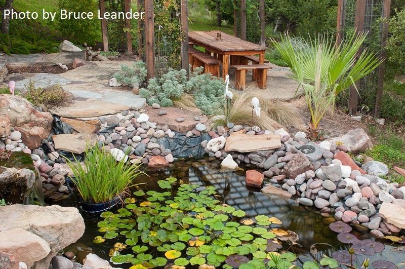 Pond and patio Austin Texas photo by Bruce Leander 