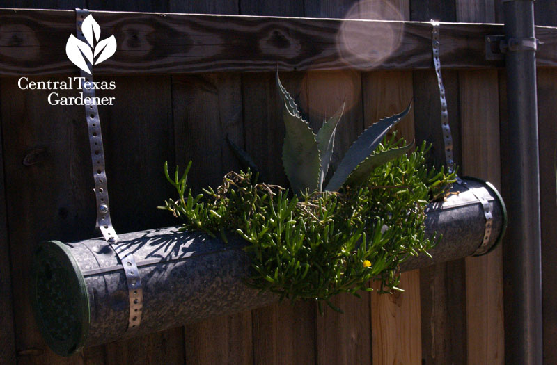exhaust pipe succulent planter exhaust pipe succulent planter