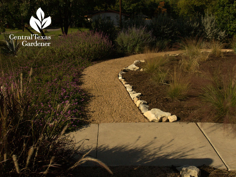 xeric style wildlife plants and path san antonio texas xeric style wildlife plants and path san antonio texas