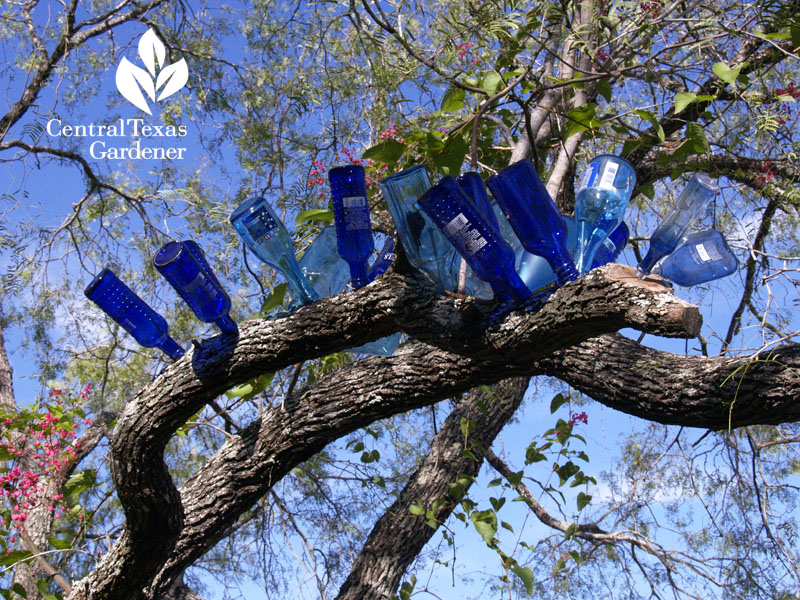 best bottle tree ever austin texas 