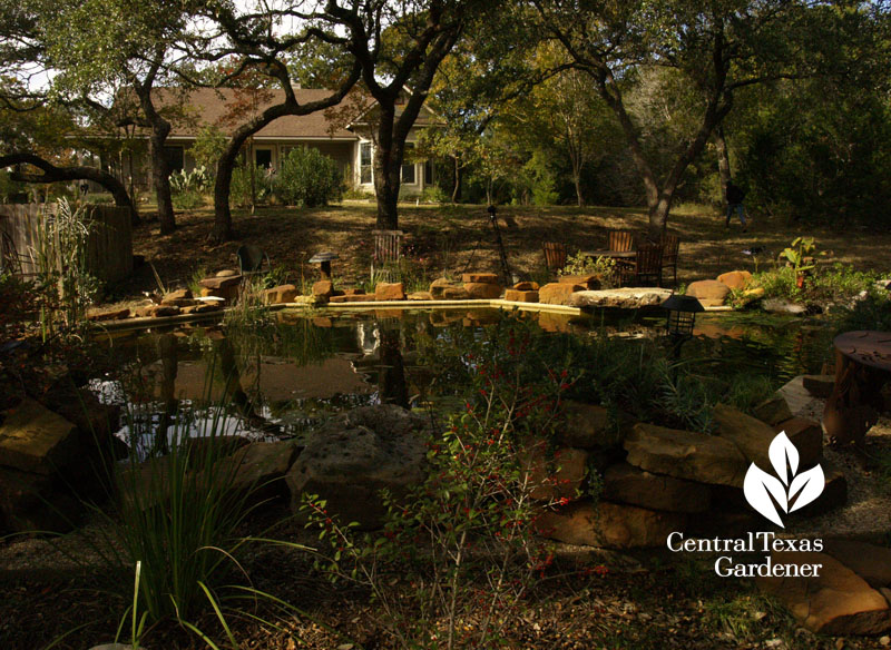 swimming pool turned into native pond central texas gardener swimming pool turned into native pond central texas gardener