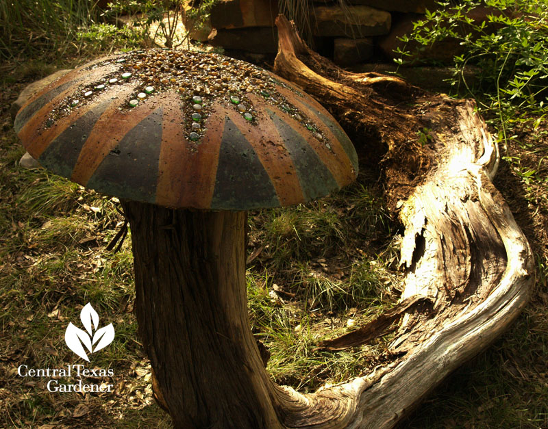 garden art concrete mushroom on cedar