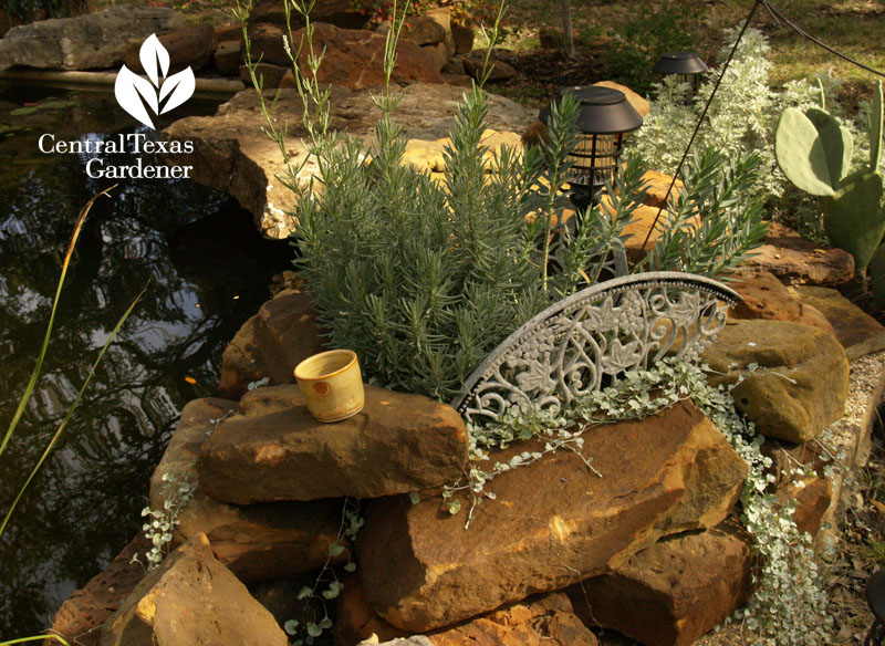 swimming pool to native pond swimming pool to native pond