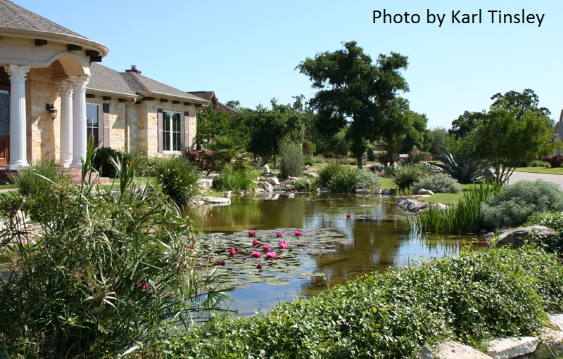 front yard pond central texas gardener 