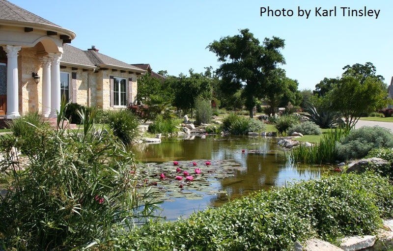front yard pond central texas gardener front yard pond central texas gardener