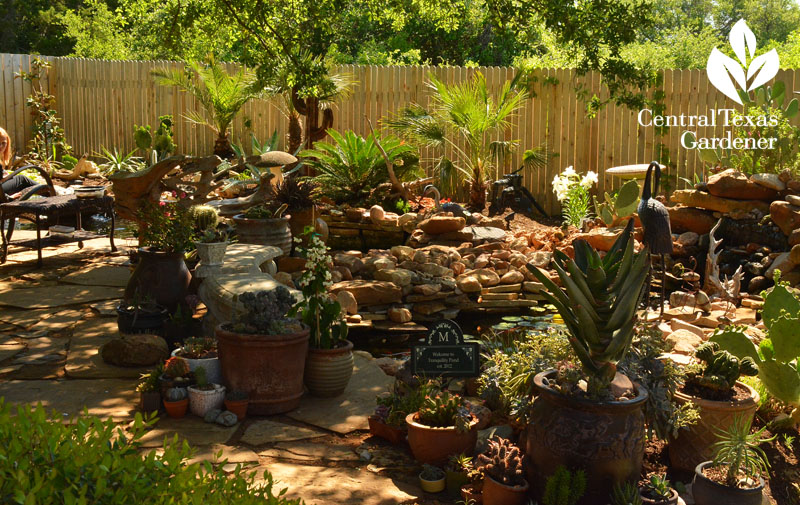 backyard pond design central texas gardener 