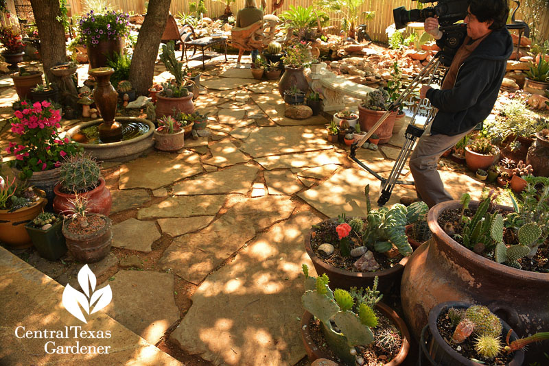 flag stone patio living room with fountains and containers central texas gardener flag stone patio living room with fountains and containers central texas gardener