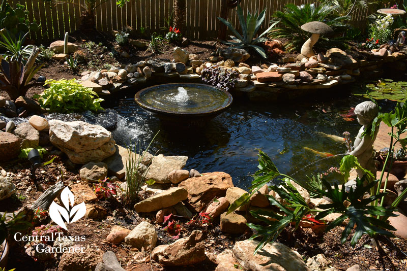 pond replaces grass central texas gardener 