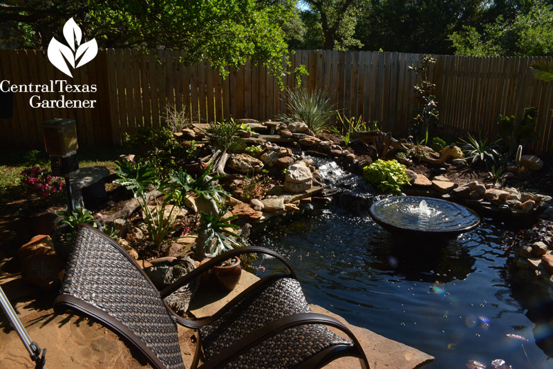 pond replaces grass central texas gardener 