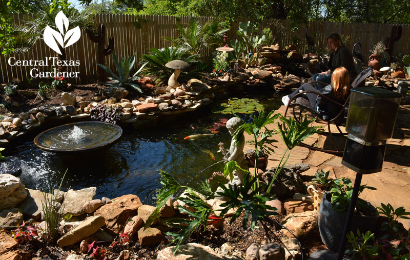 backyard pond design central texas gardener 