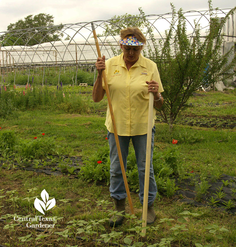 Rita Anders Cuts of Color Flower Farm 