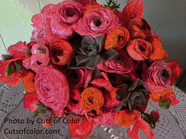 succulent and flower arrangement Cuts of Color Flower Farm 