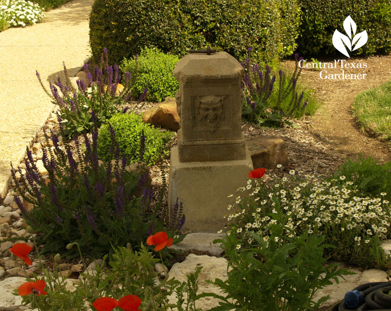 Sidewalk garden Temple Texas Sidewalk garden Temple Texas