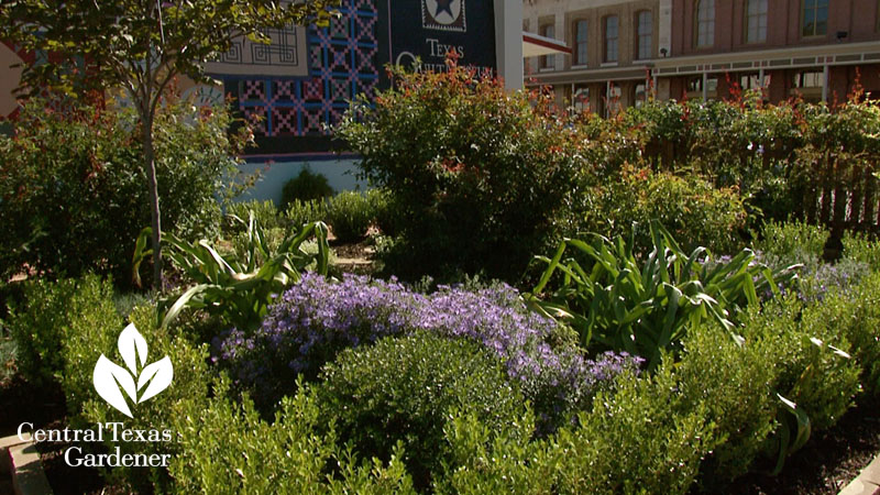 Texas Quilt Museum garden by Mitzi VanSant 