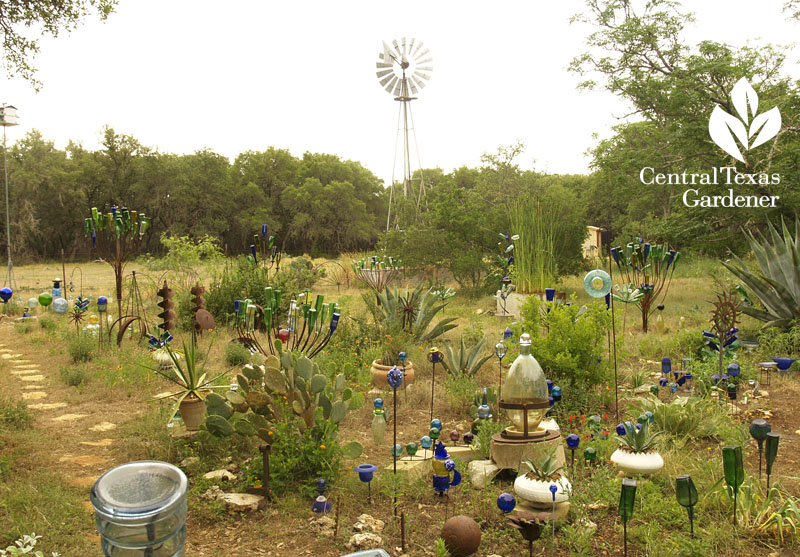 Healing garden with cancer struggle central texas gardener