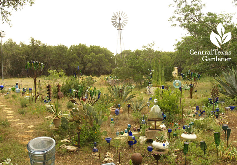 Healing garden with cancer struggle central texas gardener Healing garden with cancer struggle central texas gardener