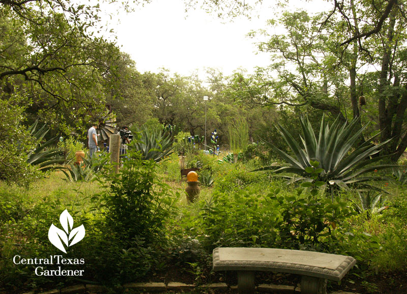 Healing garden with cancer struggle central texas gardener