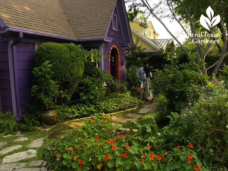 Lucinda Hutson's purple cottage Central Texas Gardener Ed Fuentes 