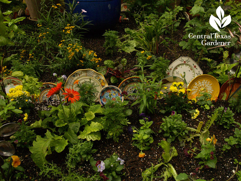 lucinda hutson's decorative plate herb bed 