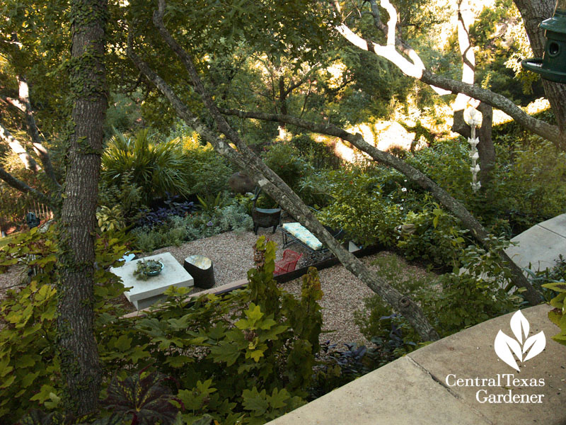 Lynne Dobson shade garden on slope