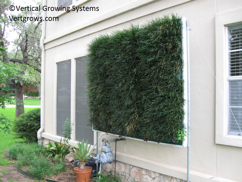 Vertical Growing System Central Texas Gardener Vertical Growing System Central Texas Gardener