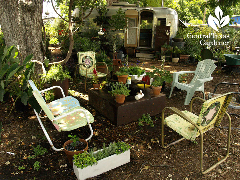 tillery street plant company patio hangout austin nursery 