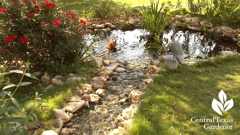 pond design Georgetown Hill Country Water Gardens & Nursery
