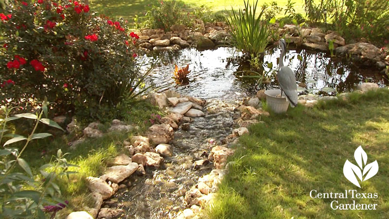 pond design Georgetown Hill Country Water Gardens & Nursery pond design Georgetown Hill Country Water Gardens & Nursery