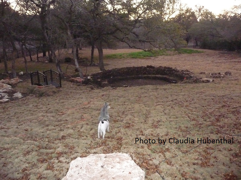 before pond design Central Texas Gardener before pond design Central Texas Gardener