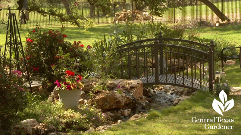 bridge and pond design Hill Country Water Gardens & Nursery 