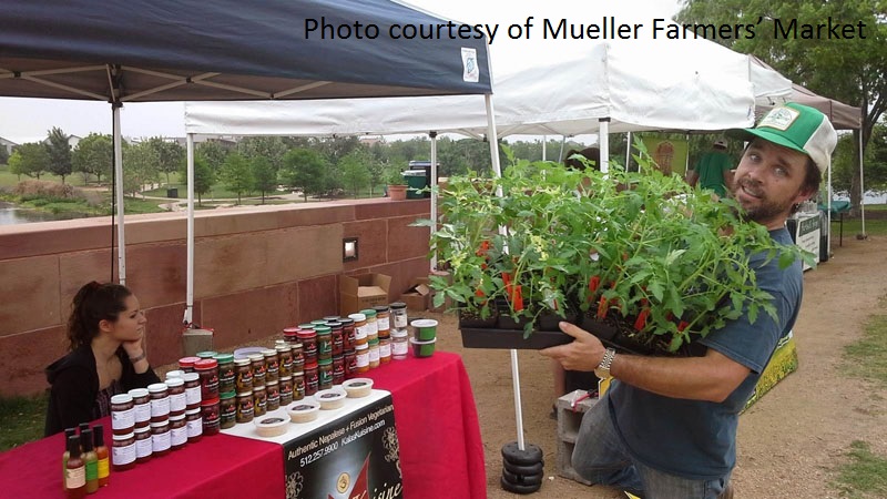 Lone Star Nursery at Mueller Farmers' Market Austin Texas 