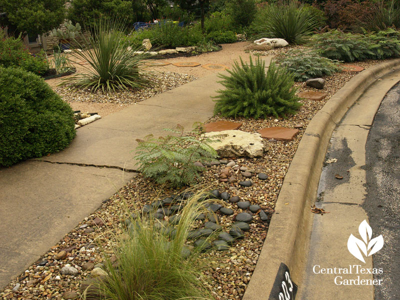 no lawn hellstrip curb central texas gardener 