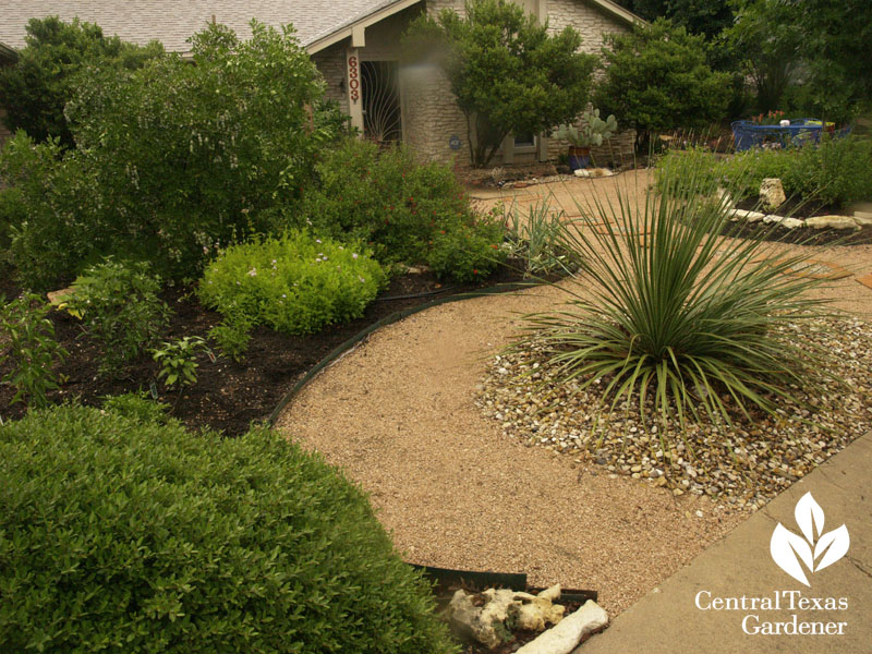 no lawn front yard central texas gardener 