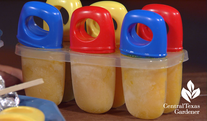 Homemade popsicles BPA free molds 