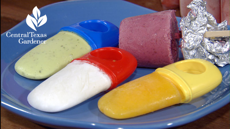 Homemade popsicles avocado, yogurt, berries