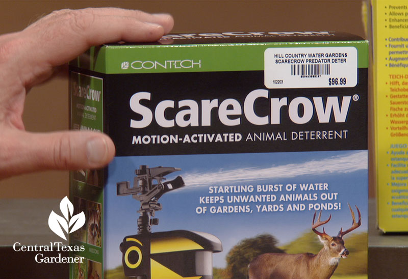 scarecrow motion-activated animal deterrent