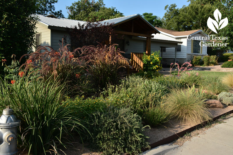 reduced lawn front garden native plants