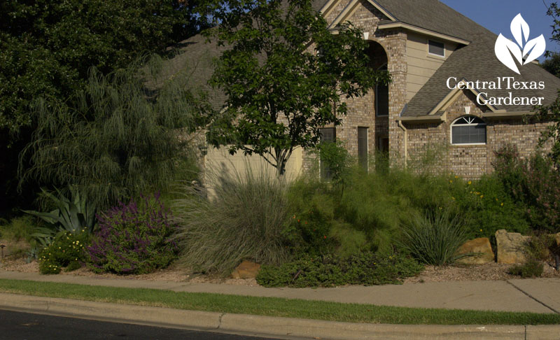 reduced lawn for wildlife plants Central Texas Gardener
