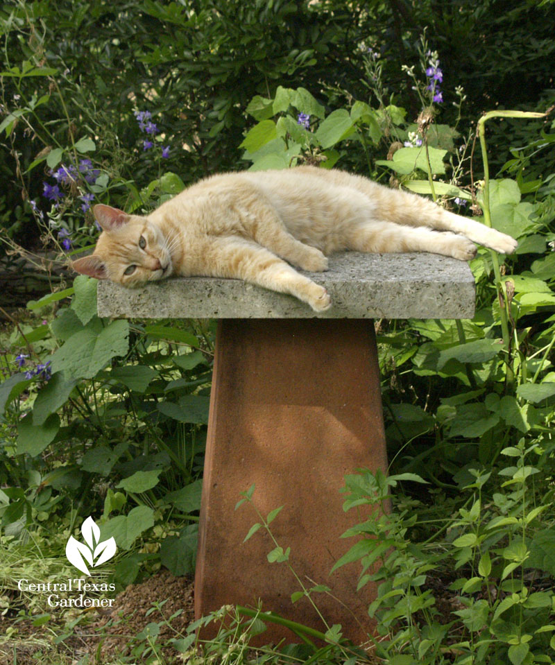 limestone slab on inverted pot for plant stand or cat nap